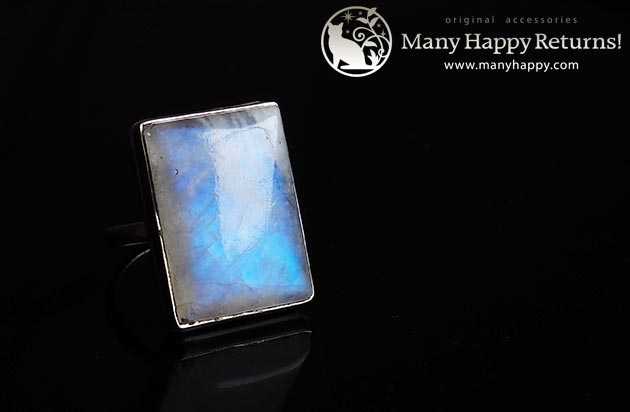 �p���[�X�g�[���W���G���[