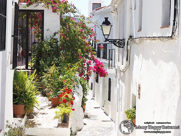 �W���G���[