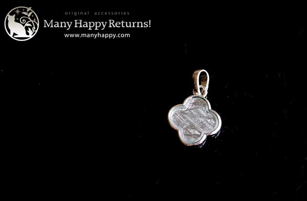 �p���[�X�g�[���W���G���[