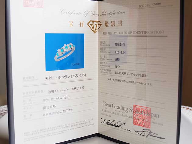 �p���[�X�g�[���W���G���[