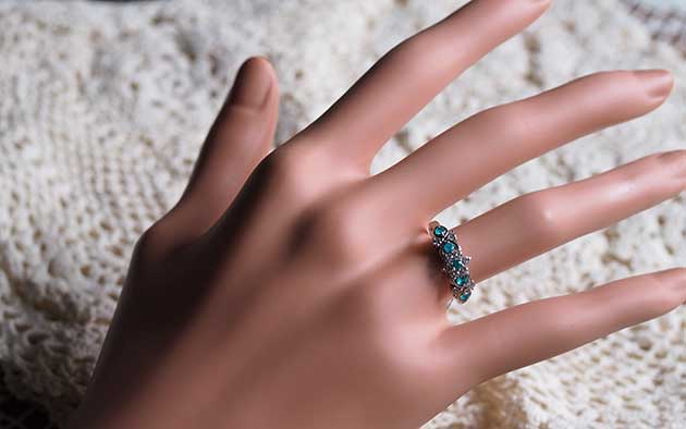 �p���[�X�g�[���W���G���[