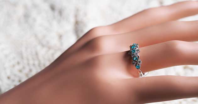 �p���[�X�g�[���W���G���[