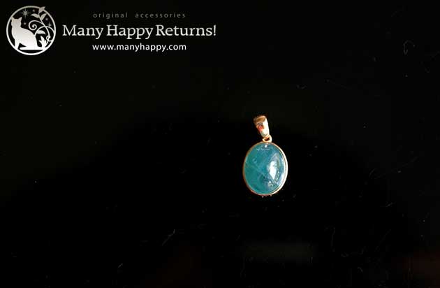 �p���[�X�g�[���W���G���[