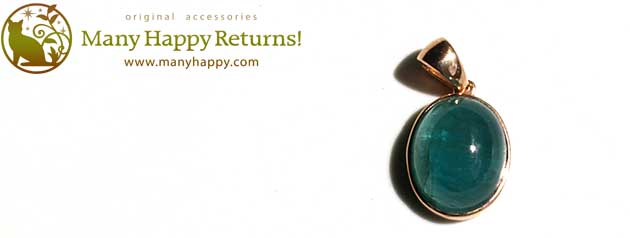 �p���[�X�g�[���W���G���[