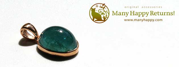 �p���[�X�g�[���W���G���[