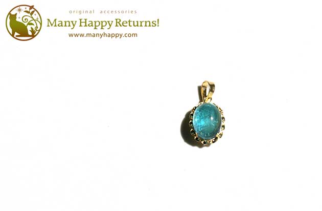 �p���[�X�g�[���W���G���[