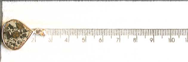 �p���[�X�g�[���W���G���[