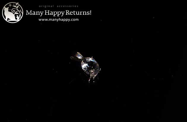 �p���[�X�g�[���W���G���[