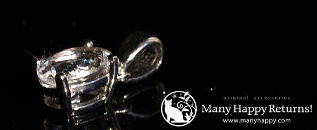 �p���[�X�g�[���W���G���[