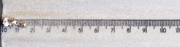 �p���[�X�g�[���W���G���[