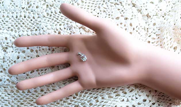 �p���[�X�g�[���W���G���[