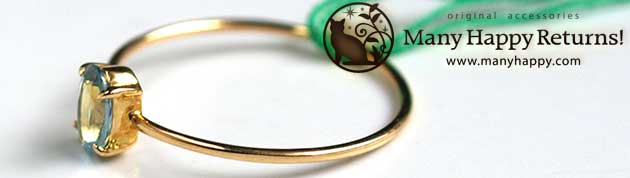 �p���[�X�g�[���W���G���[