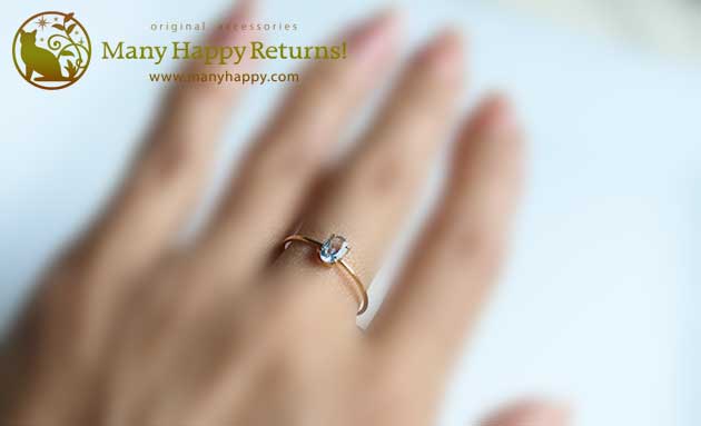 �p���[�X�g�[���W���G���[