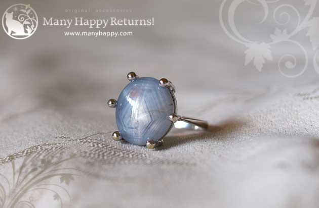 �p���[�X�g�[���W���G���[