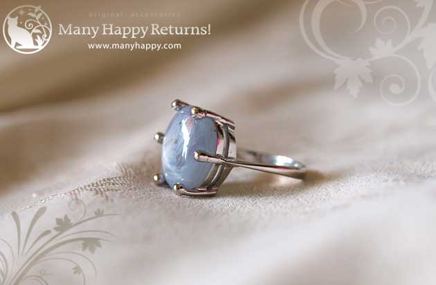 �p���[�X�g�[���W���G���[