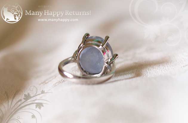 �p���[�X�g�[���W���G���[