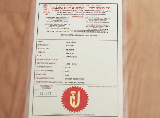 �p���[�X�g�[���W���G���[