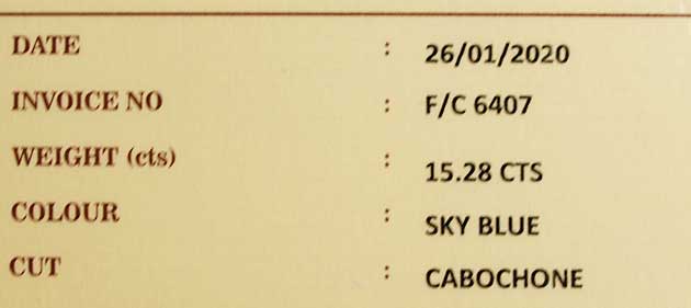 �p���[�X�g�[���W���G���[