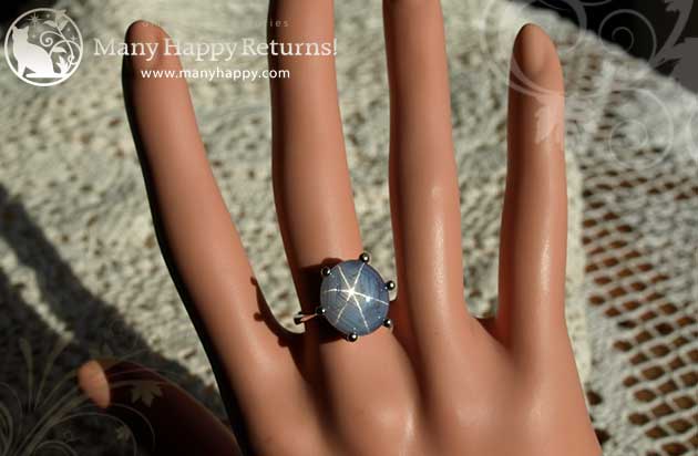 �p���[�X�g�[���W���G���[