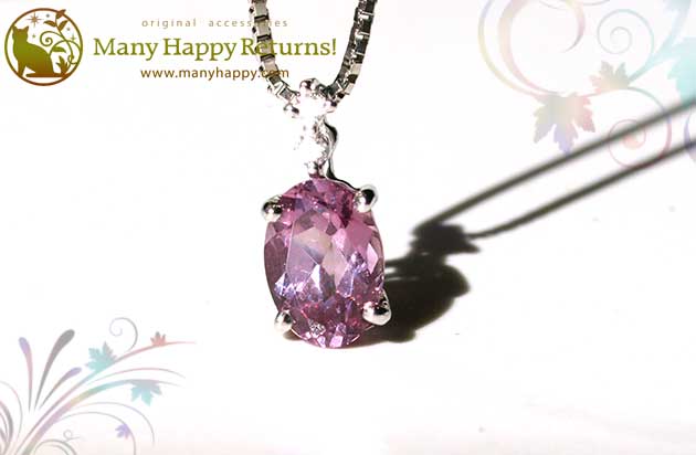 �p���[�X�g�[���W���G���[