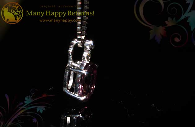 �p���[�X�g�[���W���G���[