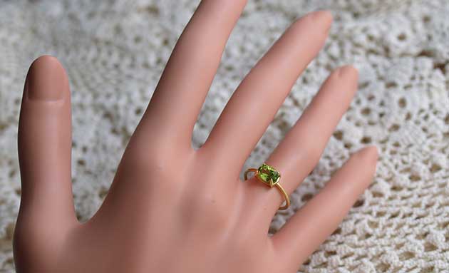 �p���[�X�g�[���W���G���[