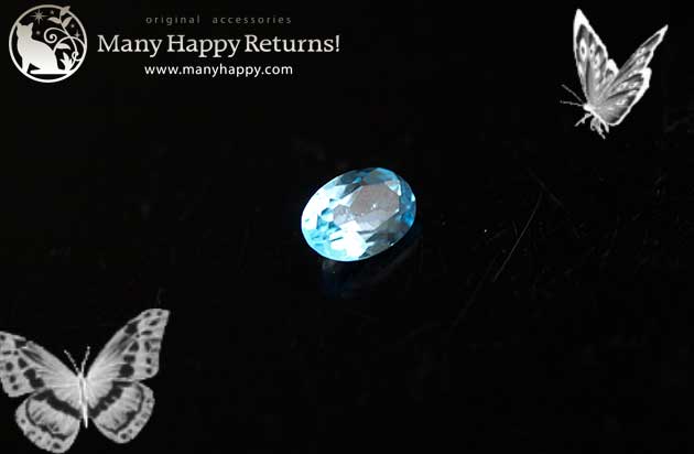 �p���[�X�g�[���W���G���[