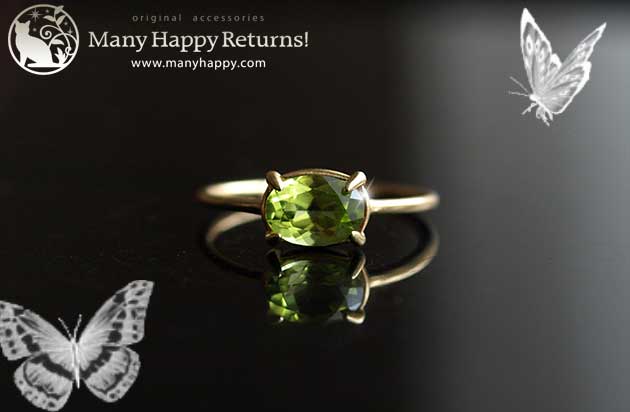 �p���[�X�g�[���W���G���[