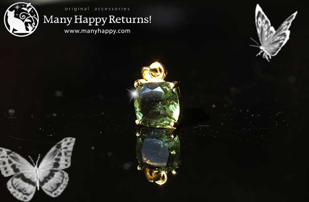 �p���[�X�g�[���W���G���[