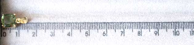 �p���[�X�g�[���W���G���[