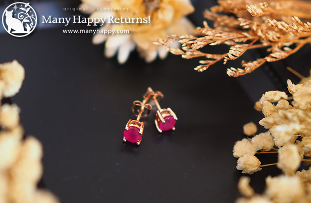 �p���[�X�g�[���W���G���[