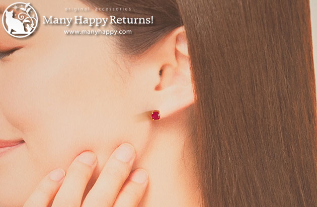 �p���[�X�g�[���W���G���[