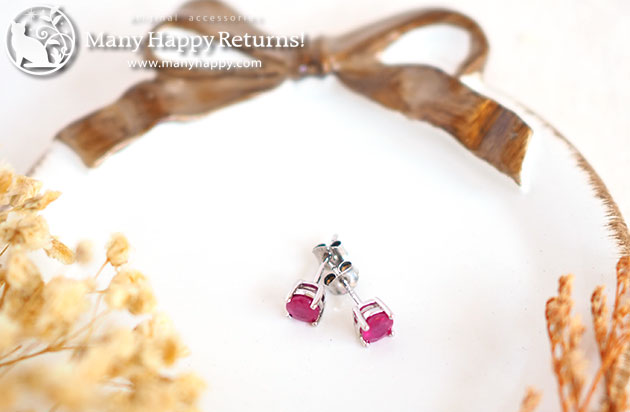 �p���[�X�g�[���W���G���[