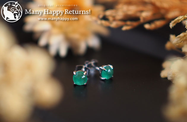 �p���[�X�g�[���W���G���[