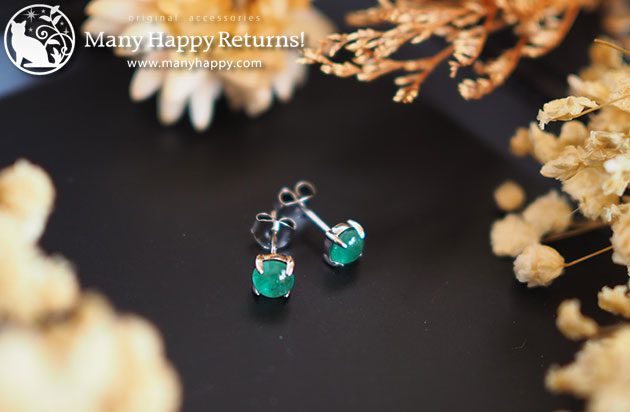 �p���[�X�g�[���W���G���[