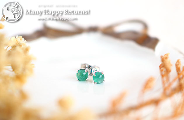 �p���[�X�g�[���W���G���[