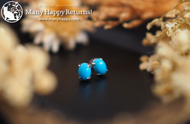 �p���[�X�g�[���W���G���[