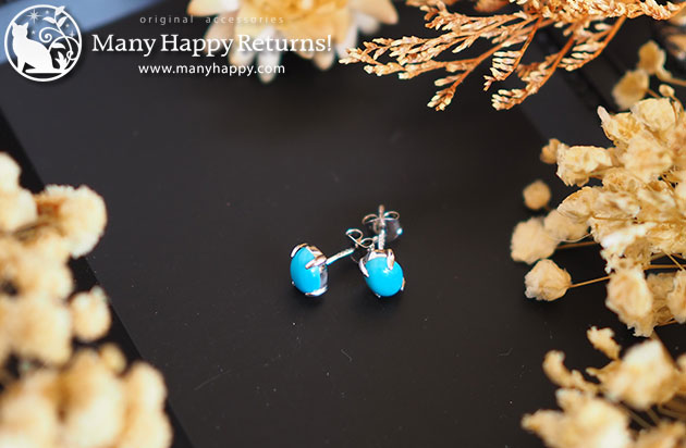 �p���[�X�g�[���W���G���[