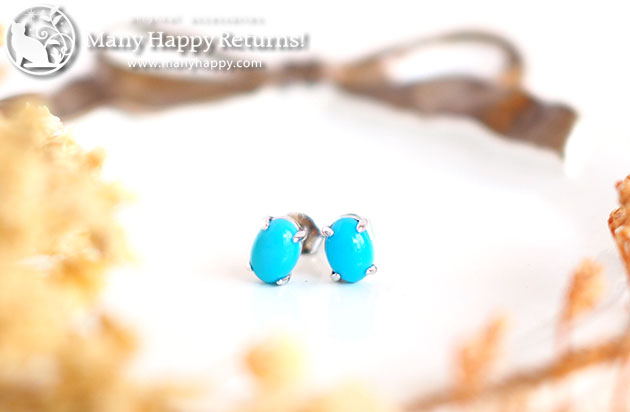 �p���[�X�g�[���W���G���[