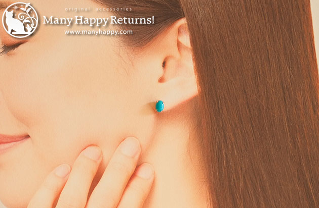 �p���[�X�g�[���W���G���[