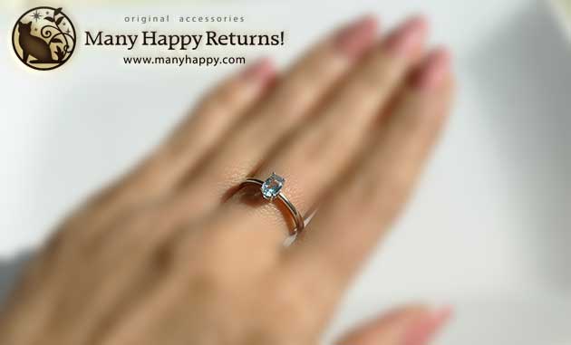 �p���[�X�g�[���W���G���[