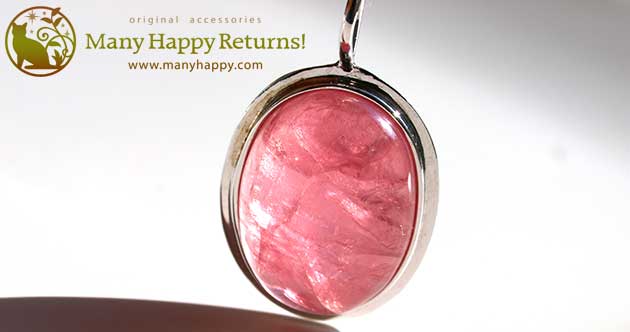 �p���[�X�g�[���W���G���[