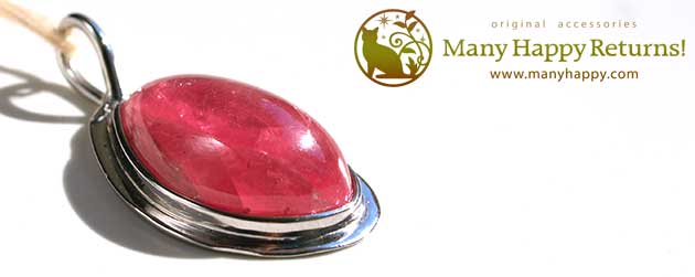 �p���[�X�g�[���W���G���[