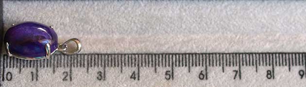 �p���[�X�g�[���W���G���[