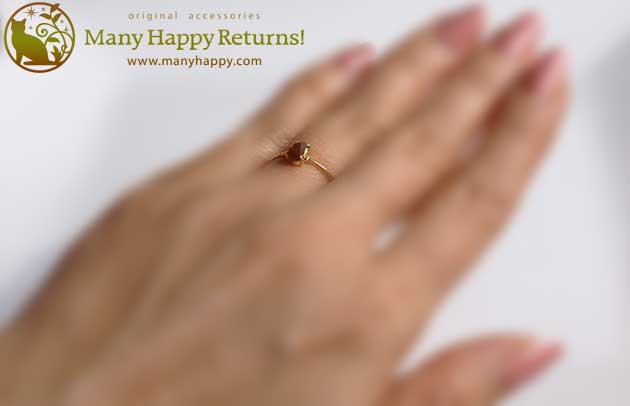 �p���[�X�g�[���W���G���[