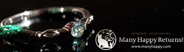 �p���[�X�g�[���W���G���[