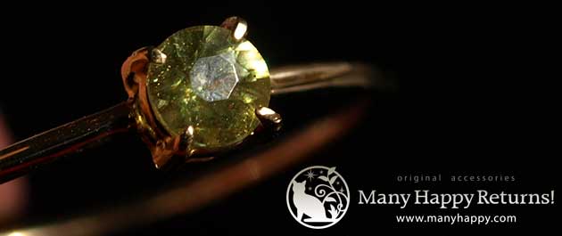 �p���[�X�g�[���W���G���[