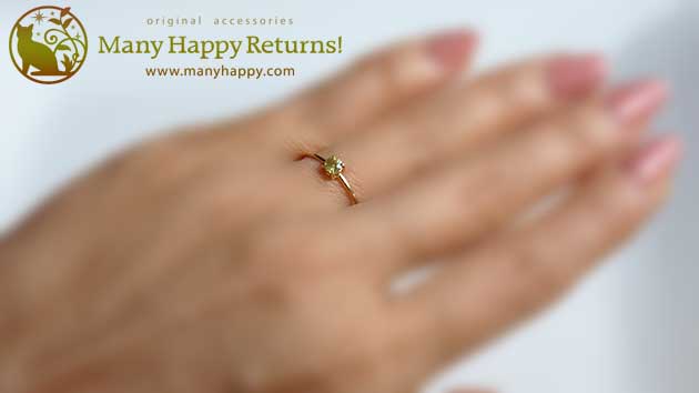 �p���[�X�g�[���W���G���[