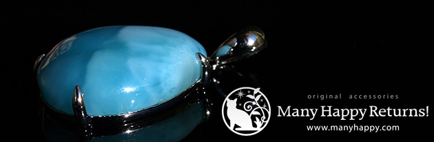 �p���[�X�g�[���l�b�N���X