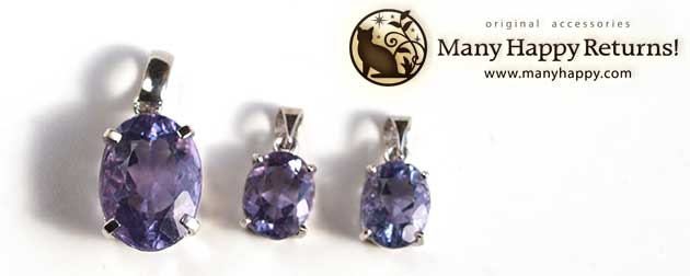 �p���[�X�g�[���W���G���[